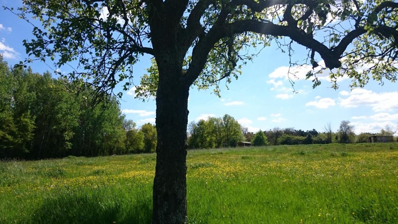 La Chapelle-Blanche-Saint-Martin Domaine De La Grangeeヴィラ エクステリア 写真