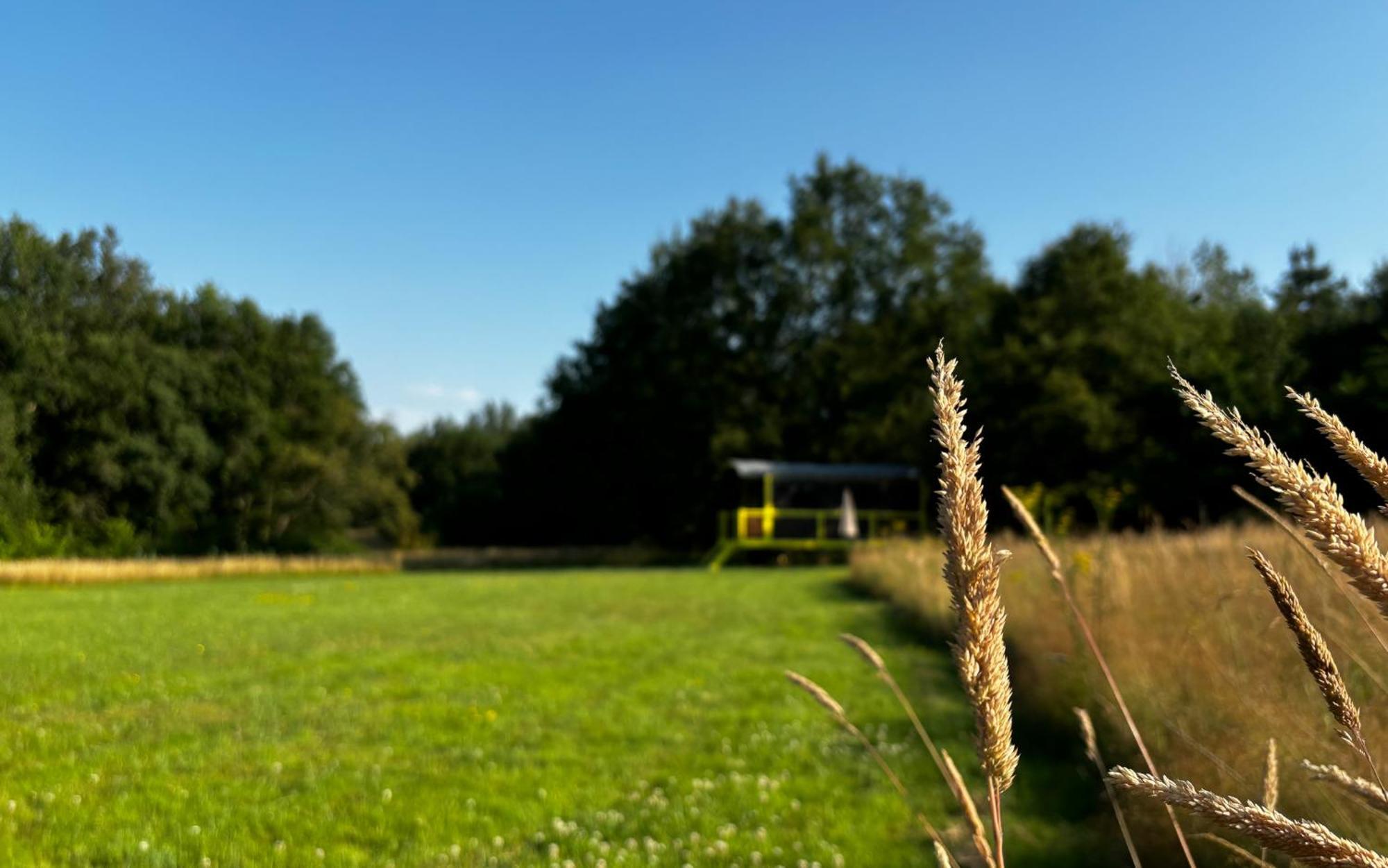 La Chapelle-Blanche-Saint-Martin Domaine De La Grangeeヴィラ エクステリア 写真